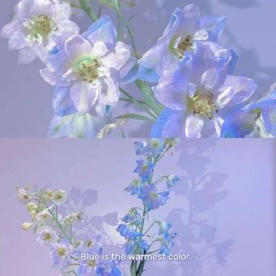 全民彩票app下载截图